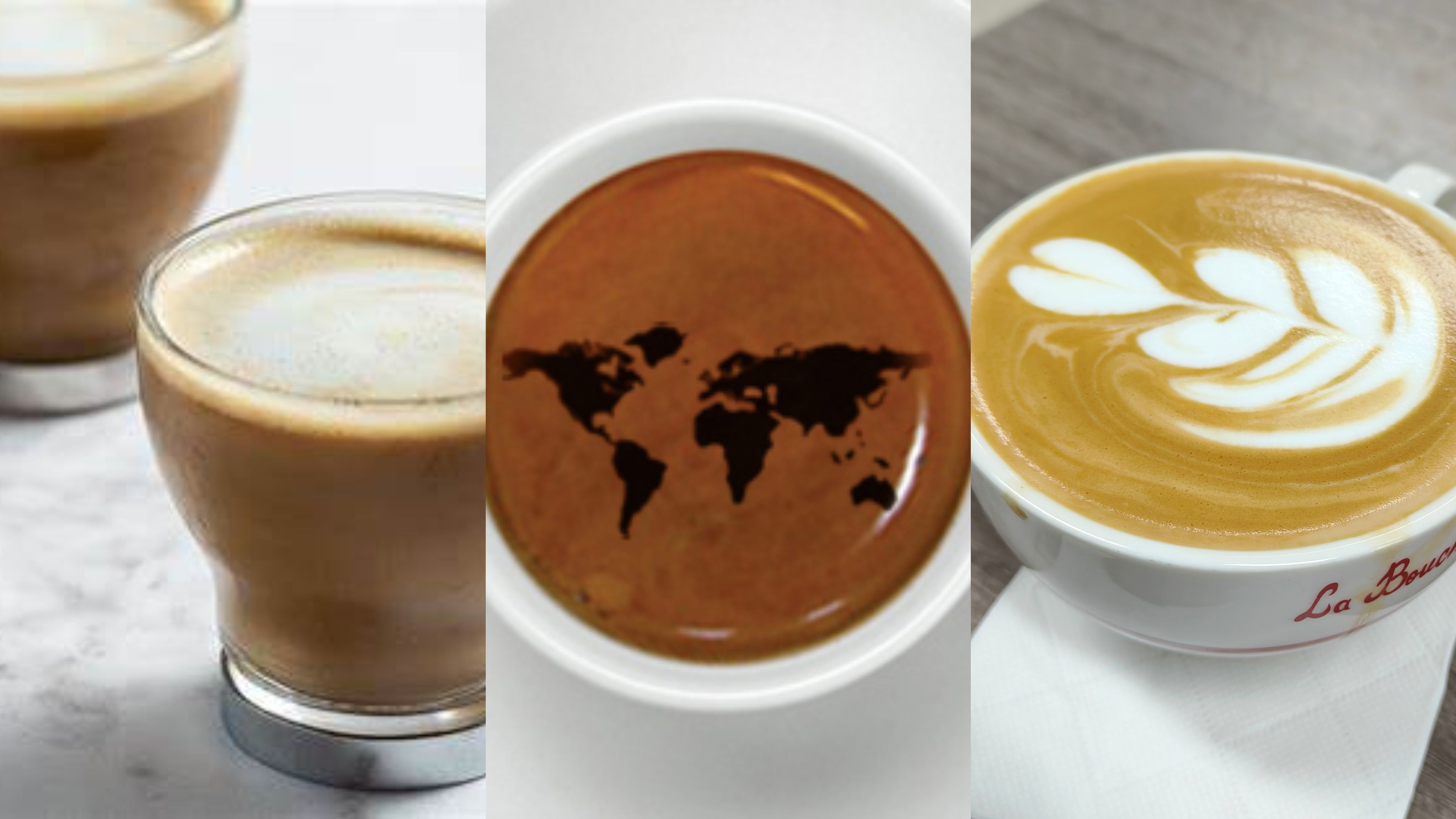 What makes the cups different？