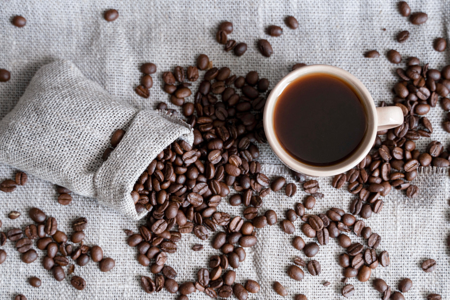 Unveiling the Art and Science of Selecting Exceptional Coffee Beans